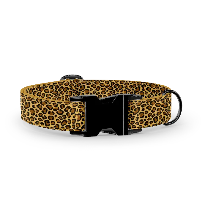 ​Leopard