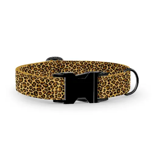 ​Leopard