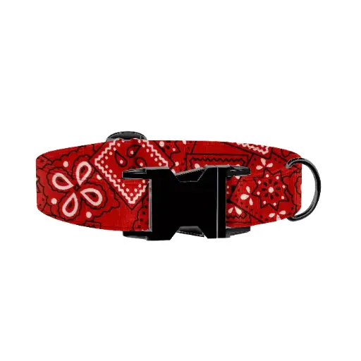 ​Bandana | Red